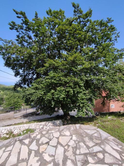Nature Escape Montenegro Cattaro Esterno foto