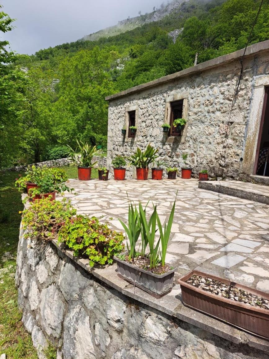 Nature Escape Montenegro Cattaro Esterno foto