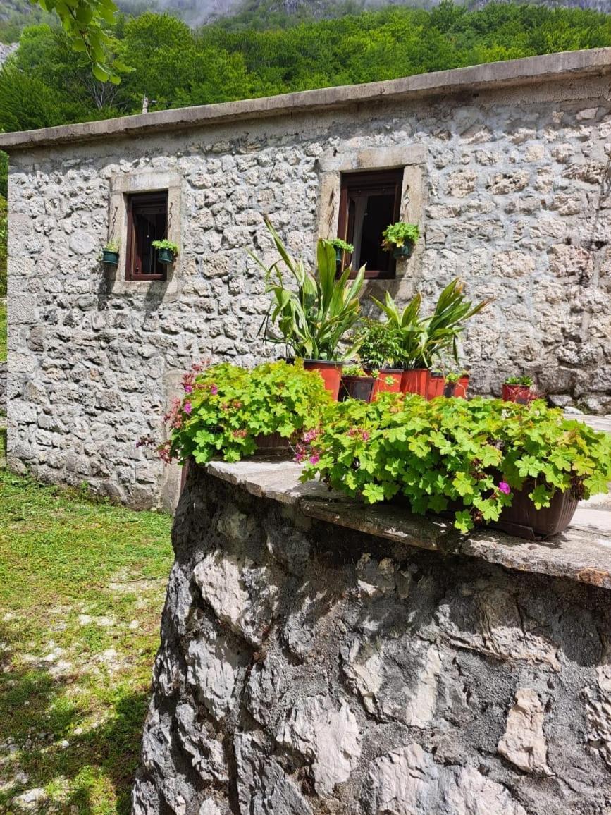 Nature Escape Montenegro Cattaro Esterno foto