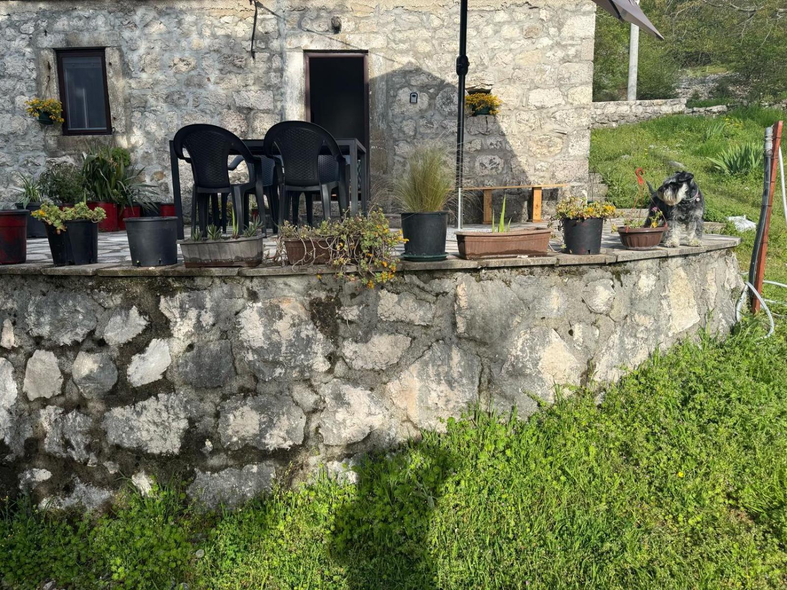 Nature Escape Montenegro Cattaro Esterno foto