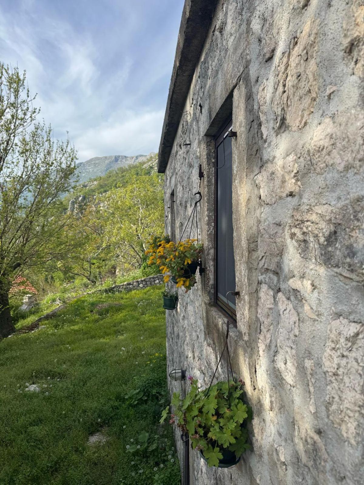 Nature Escape Montenegro Cattaro Esterno foto